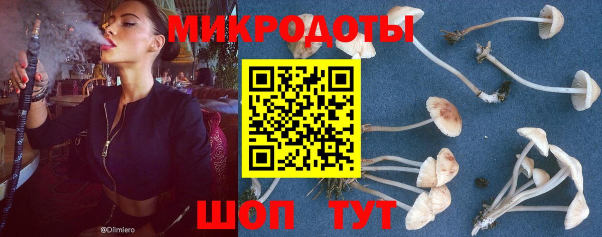 Псилоцибиновые грибы GOLDEN TEACHER  Пенза 