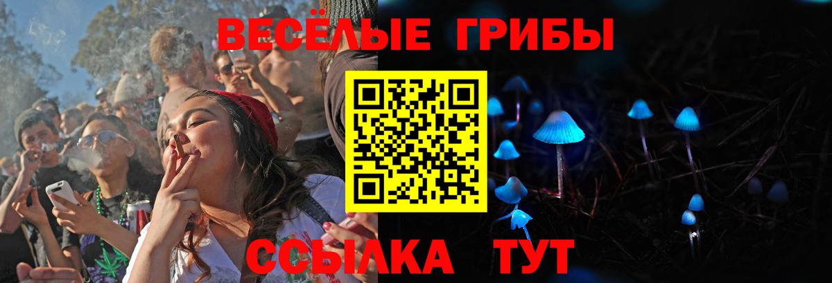 Пенза  Псилоцибиновые грибы мухоморы  Вход с VPN  Псилоцибиновые грибы мицелий 
